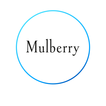 Mulberry Case Study 